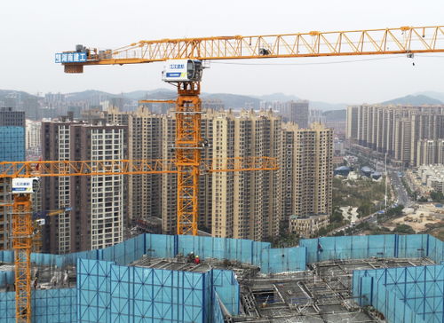 江汉建机PT6516B-BZ-10与PT6020B-BZ-10塔式起重机 现代建筑机械的可靠选择